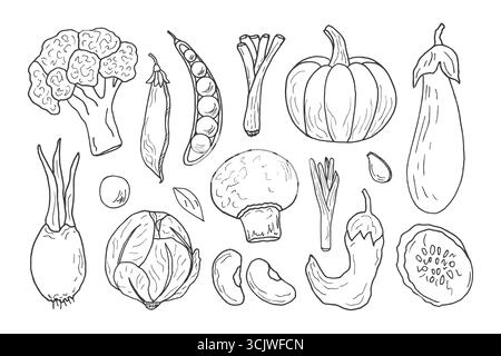 Dessins de légumes dans le style des griffonnages. Citrouille, aubergine, champignons, chou, brocoli, céleri et autres aliments frais de ferme sains. Conception de menus, livres de recettes et livres de coloriage. Illustration de Vecteur