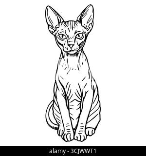 Un chat Sphynx sans poils est assis debout, mettant en valeur sa peau ridée distinctive et ses grandes oreilles. Le chat a une expression curieuse et est représenté dans un Illustration de Vecteur