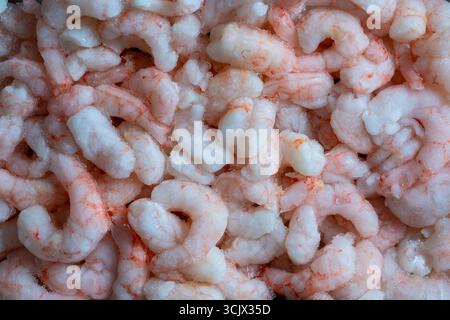 Beaucoup de crevettes congelées pour une utilisation en arrière-plan, gros plan, vue de dessus. Fruits de mer sur le comptoir. Marché aux poissons. Crevettes bouillies pelées Banque D'Images