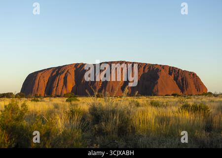 Vue d'un massif monolithe de grès cuit au soleil s'élevant majestueusement des prairies dorées sous un ciel bleu Azur, Uluru, territoire du Nord, Australie. Banque D'Images