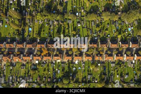 Vue aérienne, Alte Kolonie - Zechensiedlung Luenen Brambauer, maisons mitoyennes avec toits rouges et jardins, Brambauer, Luenen, région de la Ruhr, Rhénanie-du-Nord-Wes Banque D'Images