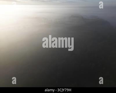 Doux brouillard sur le paysage en début de journée, soleil matinal sur la forêt de Hasbruch enveloppée dans un épais brouillard. 27798 Hude, Allemagne Banque D'Images