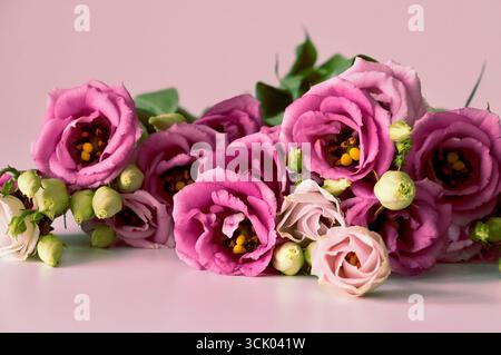 Bouquet de fleurs d'eustoma sur un fond rose. Banque D'Images