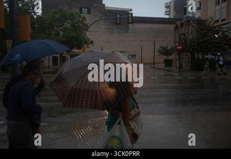 Palma, Espagne. 09th Sep, 2025. Les gens avec des parapluies marchent à travers Palma un jour de pluie. Crédit : Clara Margais/dpa/Alamy Live News Banque D'Images