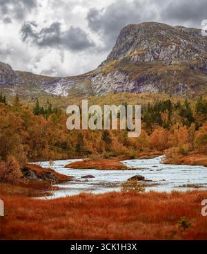 Là où la nature sauvage rencontre la vie tranquille, la rivière d'automne traverse la forêt norvégienne près du bord de la présence humaine, mêlant nature et simplicité. Banque D'Images