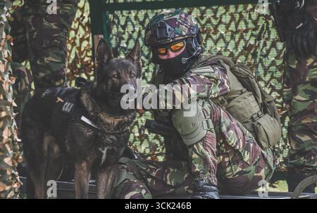 Officier des forces spéciales avec chien de police berger allemand dressé Banque D'Images