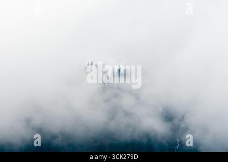 Scène brumeuse d'arbres à feuilles persistantes enveloppés dans un épais brouillard dans le parc national de Glacier Bay, Alaska Banque D'Images