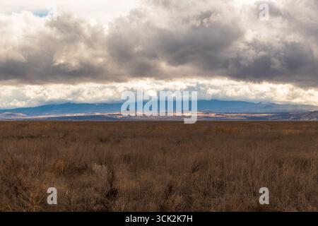 Paysage hivernal au Klamath Basin National Wildlife refuge Complex. Banque D'Images
