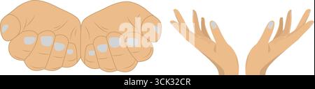 Illustration vectorielle de mains humaines ouvertes et de paumes dans différentes positions, montrant des gestes masculins et féminins sur fond blanc. Illustration de Vecteur