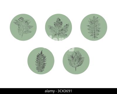 Jeu de badges botaniques, impressions grises ou timbres de plantes à l'intérieur de cercles verts. Idéal pour les autocollants, l'éco-marquage et les emballages minimalistes. Illustration vectorielle Illustration de Vecteur