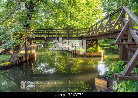 Freilandmuseum Lehde Holzbrücke im Freilandmuseum beim Spreewalddorf Lehde, Lübbenau / Spreewald, Brandenburg, Deutschland Pont en bois de l'Open-A. Banque D'Images