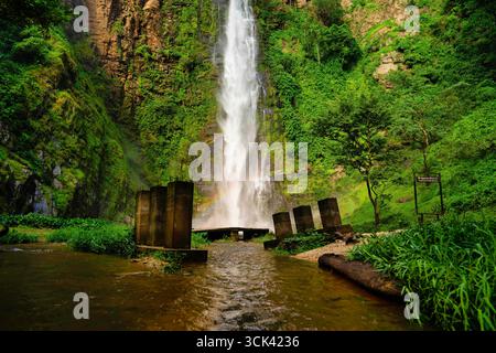 Vue sur une cascade puissante descendant des falaises accidentées entourées de feuillage vert vibrant et de rochers couverts de mousse, créant un paysage serein, Hoh Banque D'Images