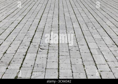 Vue en perspective détaillée du pavé gris avec de petites herbes vertes poussant à partir de trous Banque D'Images