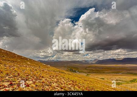 Vue sur un paysage vaste et vallonné avec des herbes dorées sous un ciel dramatique, ponctué par des nuages imposants, parc national de Deosai, Gilgit Baltista Banque D'Images