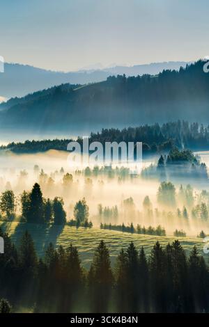 Vue sur le Rothenthurm haut amarrage au lever du soleil dans le canton de Schyz, Suisse Banque D'Images
