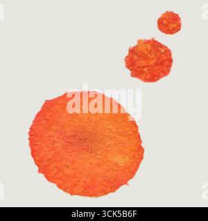 Collection de formes circulaires orange ressemblant à des blobs abstraits, représentant éventuellement des cellules ou des formes organiques. Banque D'Images