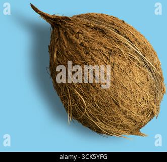 Une coque de noix de coco brune texturée mettant en valeur ses fibres naturelles et sa forme. Banque D'Images