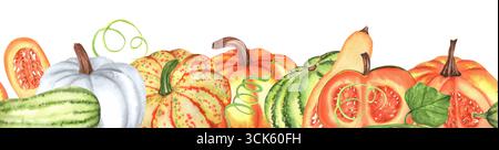 Bordure sans couture de citrouilles aquarelle orange, jaune, verte et blanche, tranches, feuilles, courge butternut. Clipart de jardin potager. Récolte d'automne festi Banque D'Images