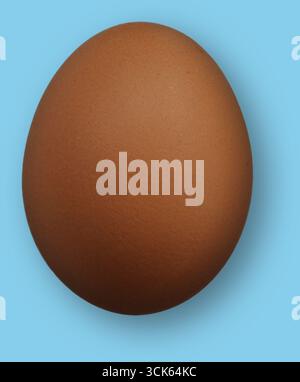 Un seul oeuf brun sur un fond Uni, mettant en valeur sa texture lisse et sa couleur naturelle. Banque D'Images