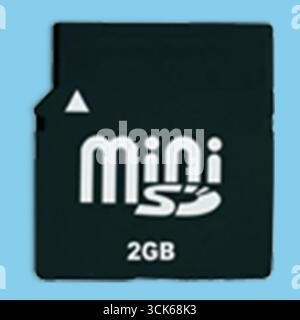 Une mini carte SD d'une capacité de 2 Go, utilisée pour le stockage dans divers appareils électroniques. Banque D'Images