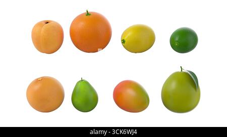 Une sélection de divers fruits disposés en deux rangées, présentant différentes formes et couleurs. Banque D'Images