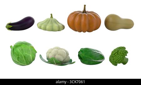 Une collection de divers légumes, y compris des aubergines, des courges et des choux, présentant diverses formes et couleurs. Banque D'Images
