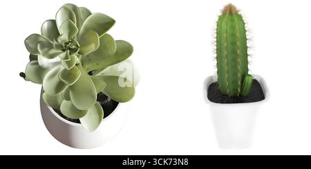 Deux plantes en pot, une succulente et un cactus, exposées dans des pots blancs modernes. Banque D'Images