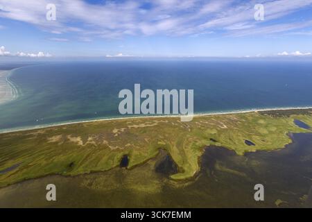 Au sud de l'île Hiddensee, réserves naturelles Gellen et Gaensewerder, réserve naturelle Duenenheide, paysage de landes, île Hiddensee, mer Baltique isla Banque D'Images
