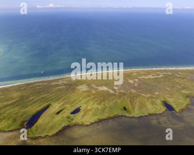 Au sud de l'île Hiddensee, réserves naturelles Gellen et Gaensewerder, réserve naturelle Duenenheide, paysage de landes, île Hiddensee, mer Baltique isla Banque D'Images