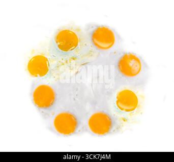 Un arrangement circulaire d'œufs au plat avec des jaunes d'oeufs jaunes vifs sur un fond blanc. Banque D'Images
