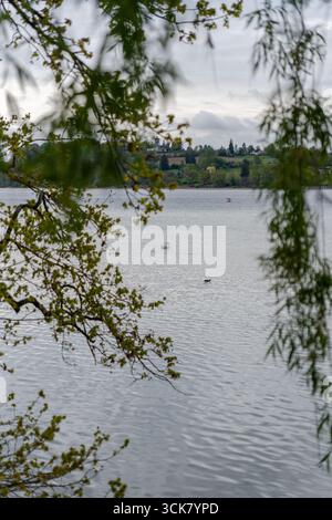Vue sur le lac de Constance depuis l'île Mainau, encadrée par des branches d'arbres au premier plan sous un ciel nuageux. Banque D'Images