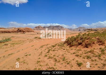 Un paysage désertique et montagneux exceptionnel avec une végétation verte -Wadi Rum zone protégée, Jordanie Banque D'Images