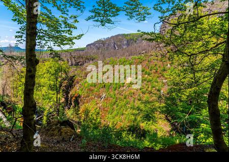Une vue vers la colline boisée depuis le sentier rocheux approchant l'arc de la porte Pravcicka au printemps Banque D'Images