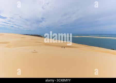 Paysage de la Dune du Pilat près de Bordeaux paysage de la Dune du Pilat *** Landschaft der Düne von Pilat BEI Bordeaux Landschaft der Düne von Pil Banque D'Images