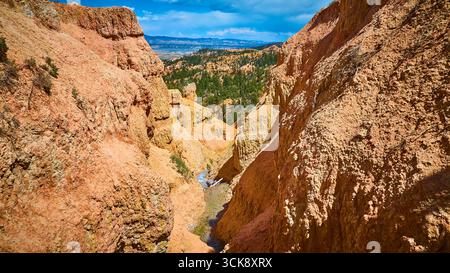 Bryce Canyon Red Rock Cliffs Pine Forest et Canyon Landscape Banque D'Images