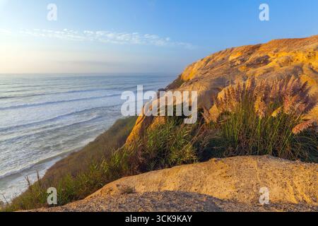 La lumière du soleil dorée illumine les falaises de grès accidentées de Praia da Mexilhoeira avec des herbes balayées par le vent, surplombant un océan calme sous un ciel bleu clair Banque D'Images