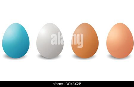 Illustration de quatre oeufs de différentes couleurs, bleu, blanc, brun et brun clair Illustration de Vecteur