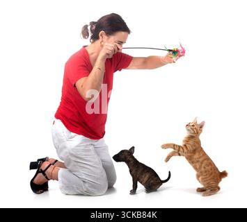 chat au gingembre et femme devant un fond blanc Banque D'Images