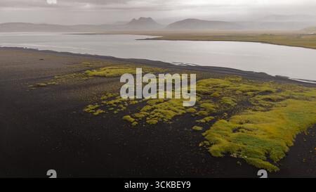 Une rivière calme serpente à travers le sable volcanique noir et la mousse verte vibrante, avec des montagnes couvertes de brume au loin sous un ciel couvert. Banque D'Images