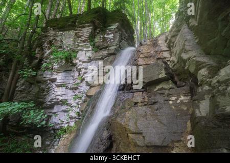Vue sur les cascades scintillantes de cascade sur la paroi rocheuse accidentée couverte de mousse, entourée d'arbres verdoyants, créant une scène sereine, Liptovské Revúce, région de Žilina, Slovaquie. Banque D'Images