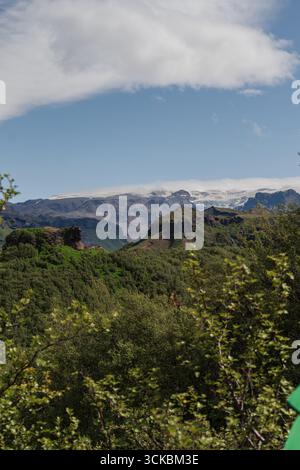 Une végétation dense au premier plan mène à des falaises escarpées et à des sommets couverts de glaciers sous un ciel partiellement nuageux, mettant en valeur la diversité naturelle de l'Islande. Banque D'Images