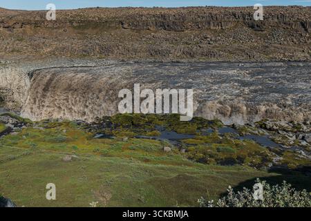 Les cascades de Dettifoss avec de l'eau boueuse au-dessus d'une falaise accidentée, entourée de roches moussues, de végétation verte et de terrains rocheux en Islande. Banque D'Images