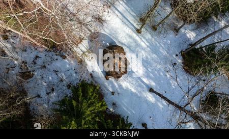 Une perspective aérienne d'une forêt en hiver, avec des arbres à feuilles persistantes et à feuilles caduques, une grande formation rocheuse centrale et des ombres et neige contrastées Banque D'Images