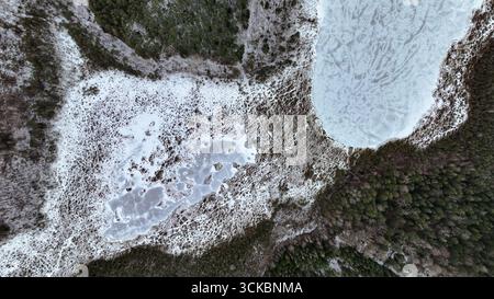Perspective aérienne d'un paysage hivernal avec un lac gelé, un marais enneigé et une promenade en bois menant à une forêt dense à feuilles persistantes. Banque D'Images