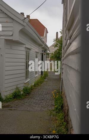 Une ruelle pavée bordée de maisons en bois blanc, de toits inclinés et de verdure. Des fleurs sauvages jaunes poussent le long du chemin sous un ciel couvert. Banque D'Images