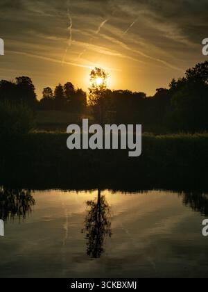 Lever du soleil sur une belle portion de la Tamise près de Radley Boathouse. Fondé en 1921, le hangar à bateaux sert le Radley College et les amateurs d'aviron locaux depuis plus d'un siècle. Si vous vous tenez sur sa jetée et regardez à travers la rive nord de la rivière, vous verrez cet arbre isolé et plutôt charmant, qui semble changer de caractère et d'apparence tout au long de l'année. Il peut être particulièrement beau au lever du soleil - comme ici. Banque D'Images