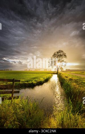 Un paysage hollandais typique sous le niveau de la mer avec des canaux et un ciel sombre Banque D'Images