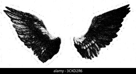 Ailes d'ange demi-teintes avec texture encrée pour la conception artistique. Illustration de Vecteur