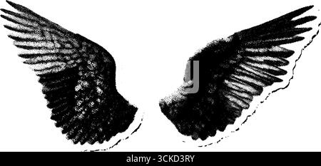 Angel Wings texture grunge demi-teinte pour les projets de conception créatifs. Illustration de Vecteur