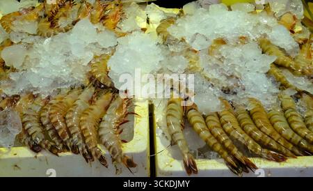 Crevettes tigrées fraîches exposées sur glace dans un marché de fruits de mer, prêtes à la vente. Banque D'Images